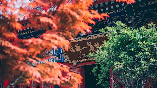 英国类似淘宝购物网站-英国类似淘宝购物网站的电商平台有哪些