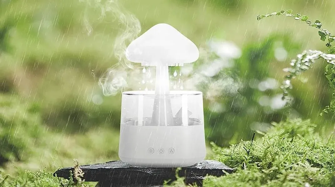 爆火TikTok!亚马逊售罄?“会下雨”的加湿器刚刚下证,选品请绕道!