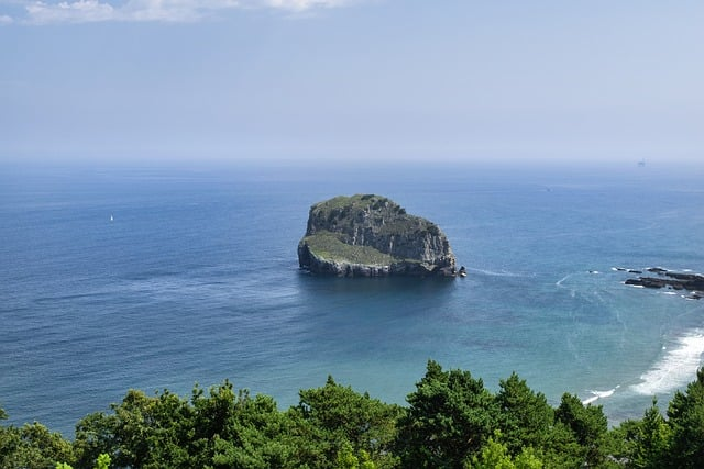 国际电商物流-国际电商物流公司有哪些？