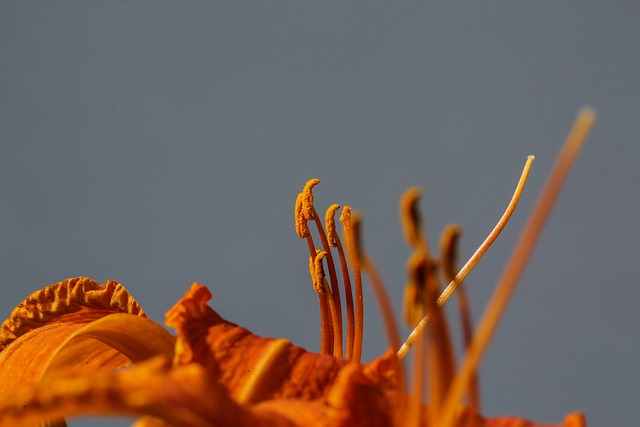 电商平台系统-有几种电商平台系统的类型？