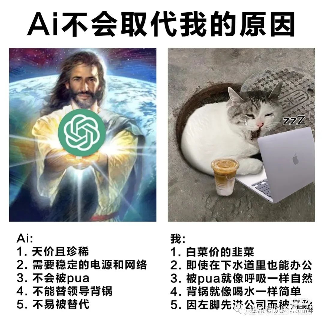 说说AI在跨境电商应用中的问题