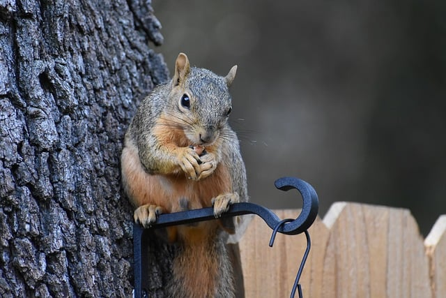 阿里巴巴卖家版-阿里巴巴卖家版自动回复怎么设置？