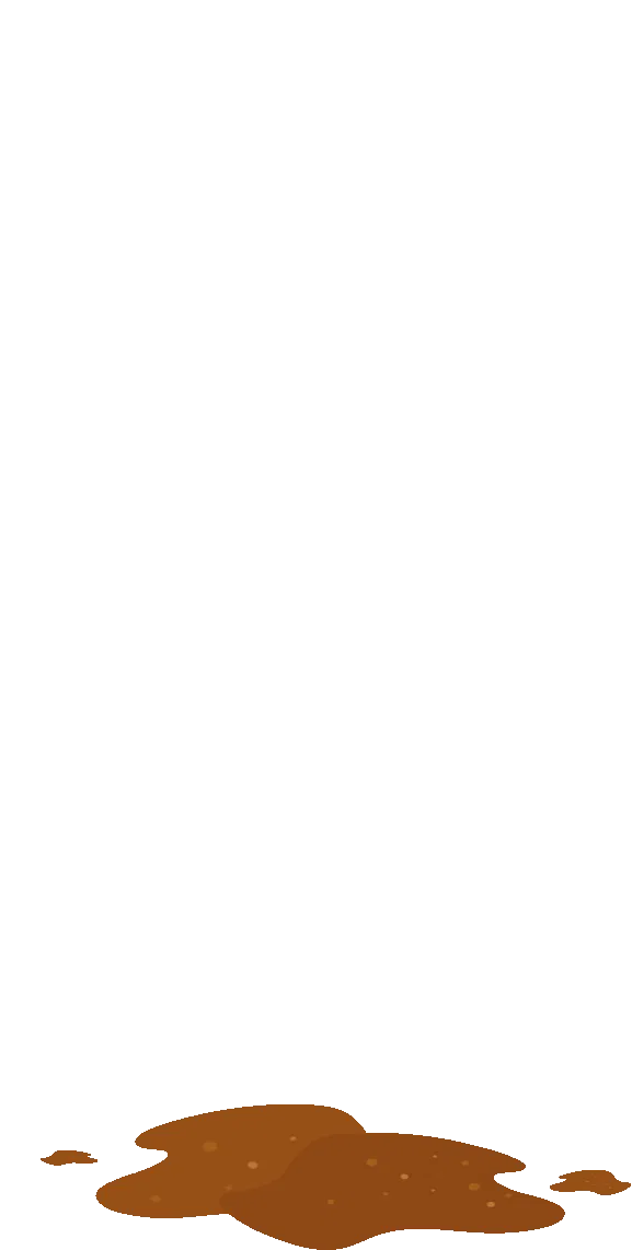 PCT国际专利申请程序:印度