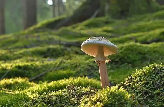 欧美fba专线国际物流-如何保证货物的安全和及时送达？