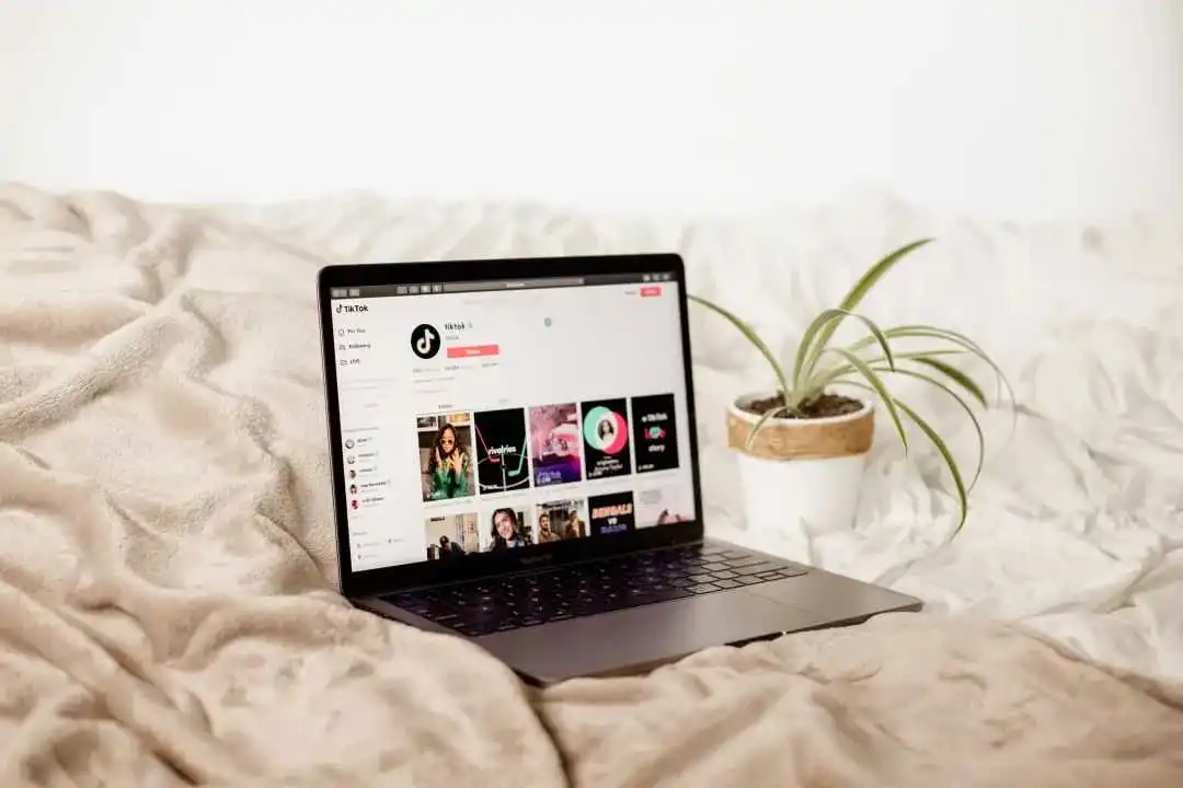 被判罚金3.69亿美元！TikTok在欧美面临重重阻碍