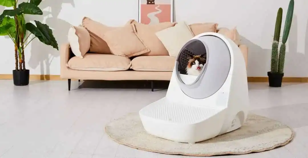 5000块的猫砂盆卖出百万销量!“铲屎”到底有多吸金?