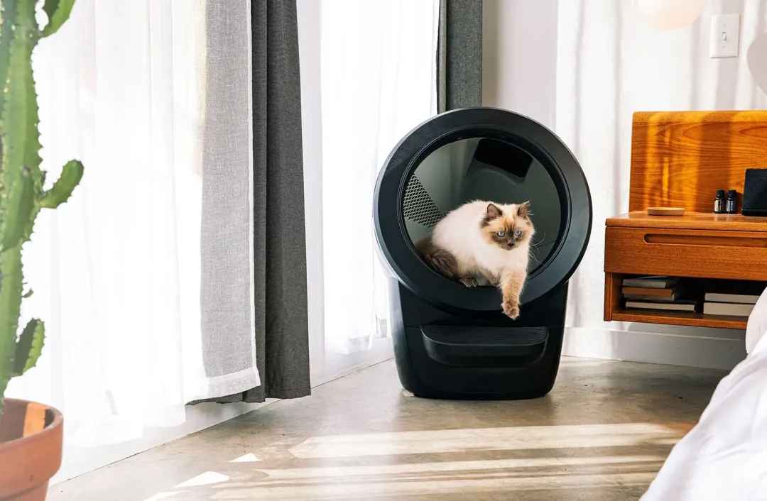 5000块的猫砂盆卖出百万销量!“铲屎”到底有多吸金?