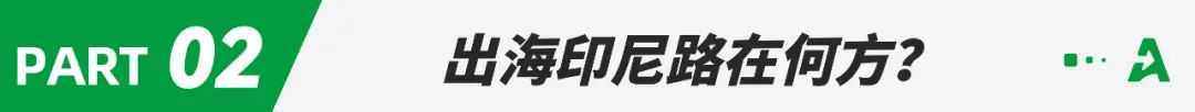 全面封杀！600万卖家折戟印尼