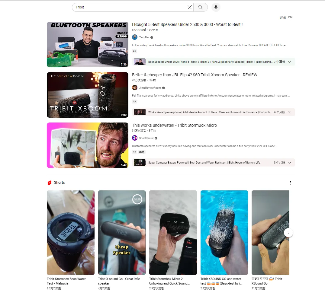 年营收超10亿！亚马逊转型独立站的它如何跻身品类头部？