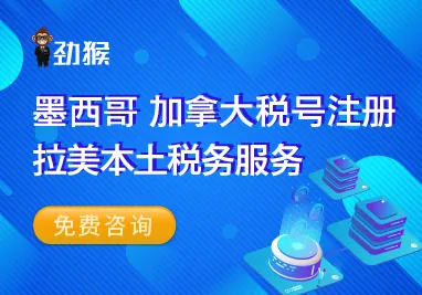 劲猴国际咨询