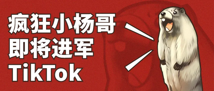 抖音带货月入过亿!头部网红“小杨哥”也将入局TikTok?