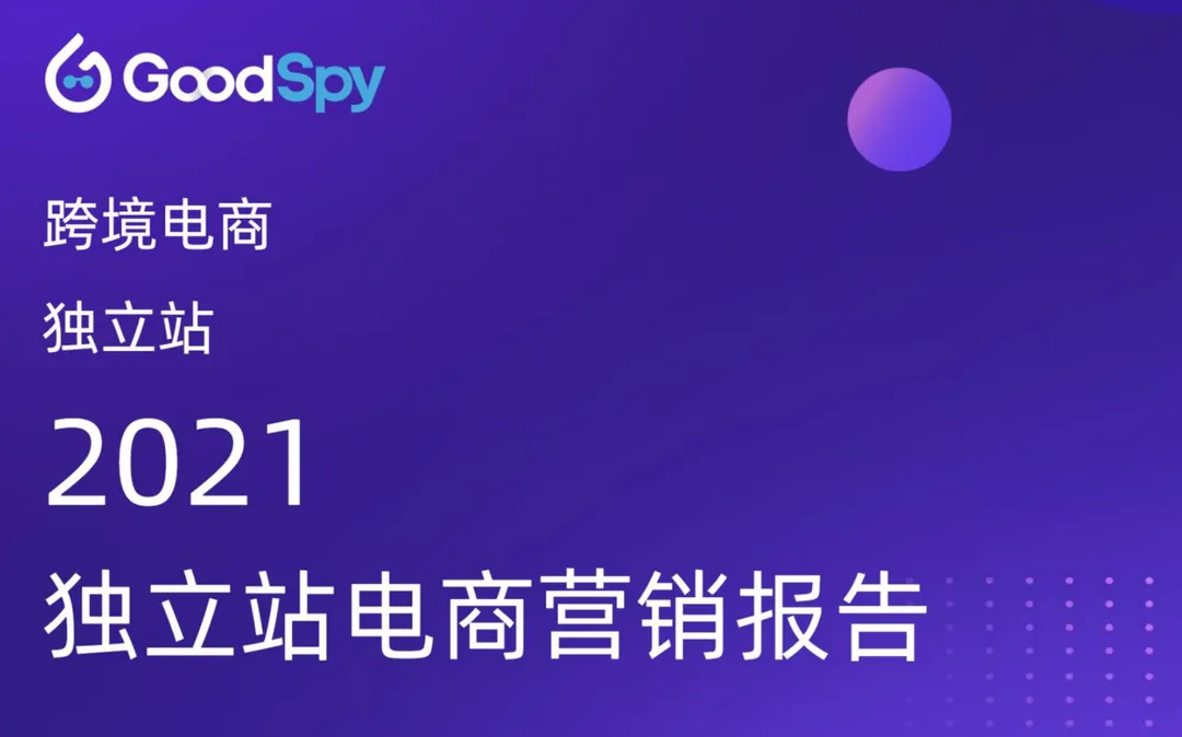 《2021独立站电商营销报告》PDF下载