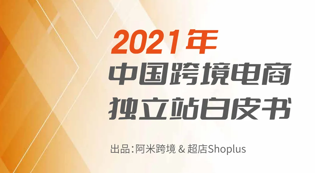 《2021跨境电商独立站白皮书》PDF下载