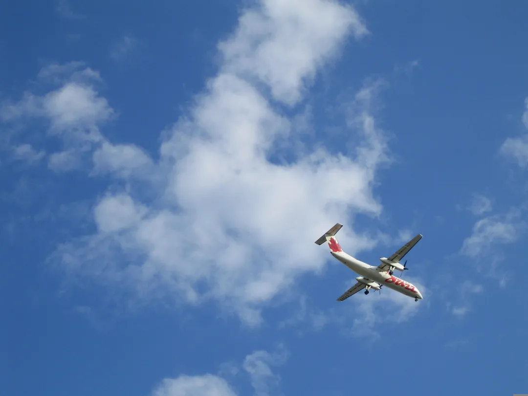 悟空快递美国寄中国-悟空快递美国寄中国需要多长时间?
