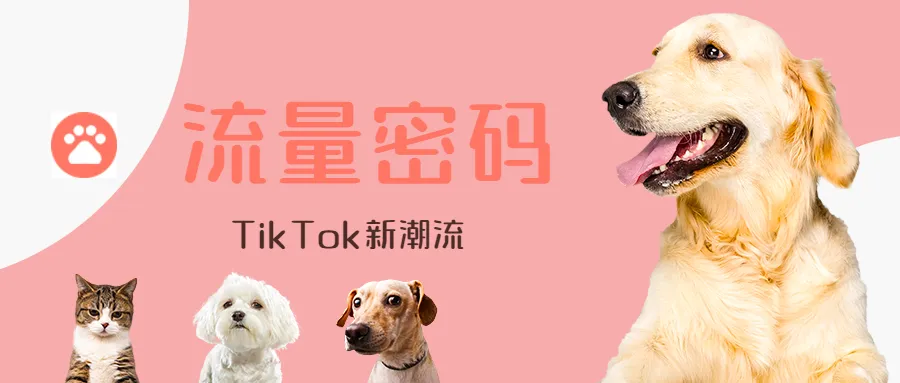 山火持续蔓延,宠物口罩成TikTok新潮流!