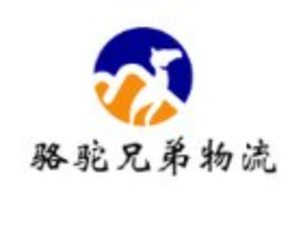 深圳市骆驼兄弟国际货运代理有限公司