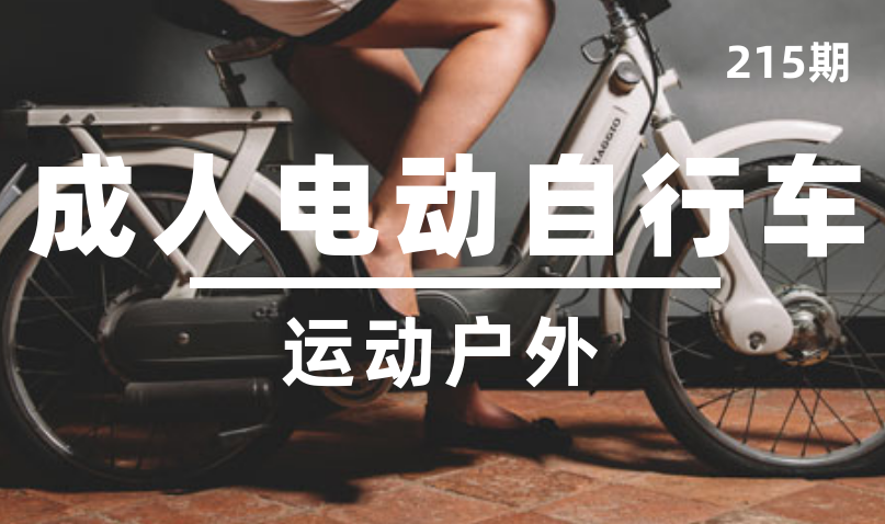 第215期-户外-成人电动自行车