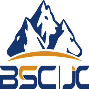 BSC