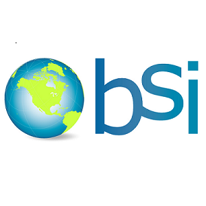 BSI Client Connector