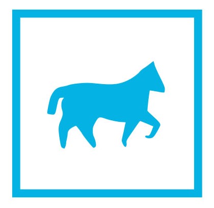 ECVAP店铺销售分析