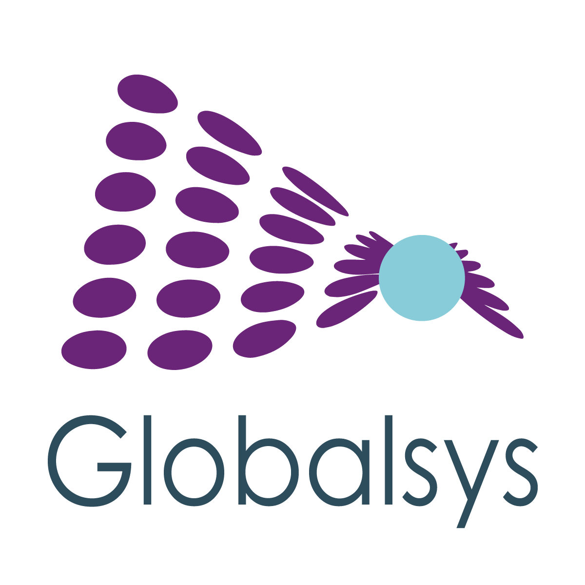 Globalsys EDC