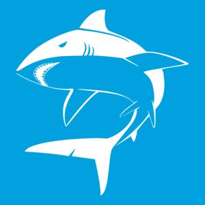 bullshark erp