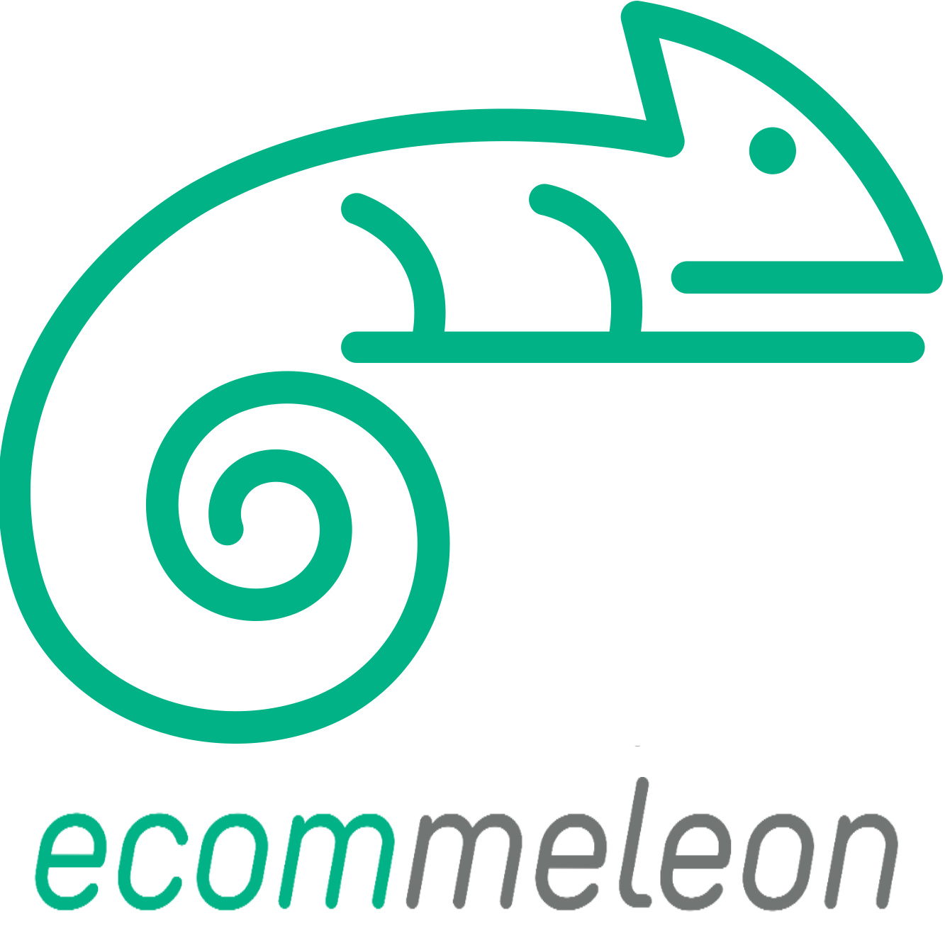 eCommeleon API Connector