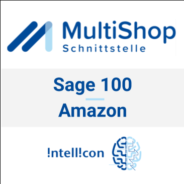 intellicon Multi-Shop-Schnittstelle