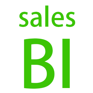 智能销售BI系统