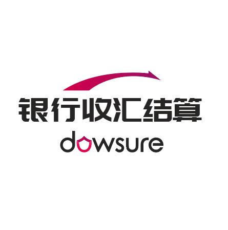 银行收汇结算 by Dowsure