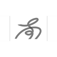 China South Group Inc