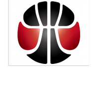 四川成泰南向国际贸易有限公司