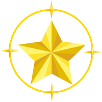 深圳市星联国际货运代理有限公司