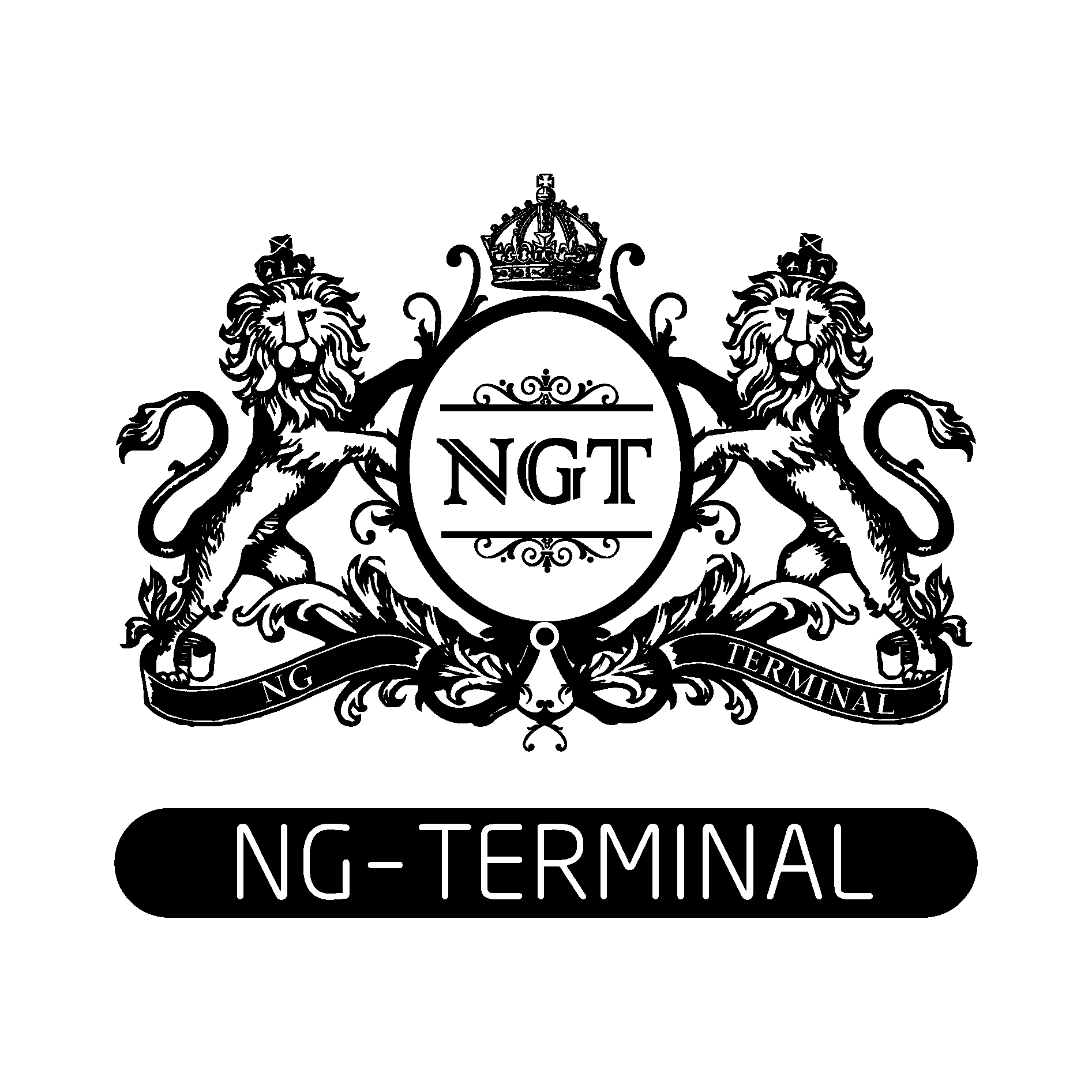 NG Terminal