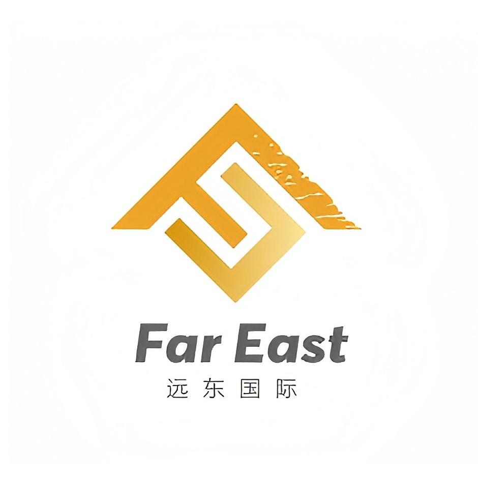 远东国际货运