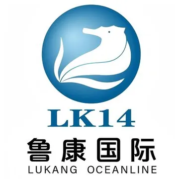 鲁康国际物流