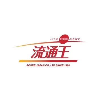 飞流通王国际
