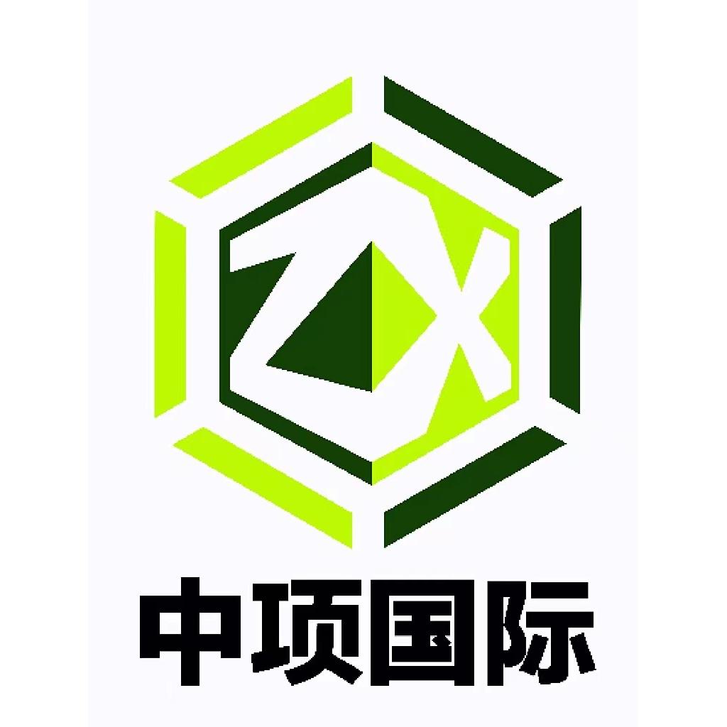 中项国际项目物流