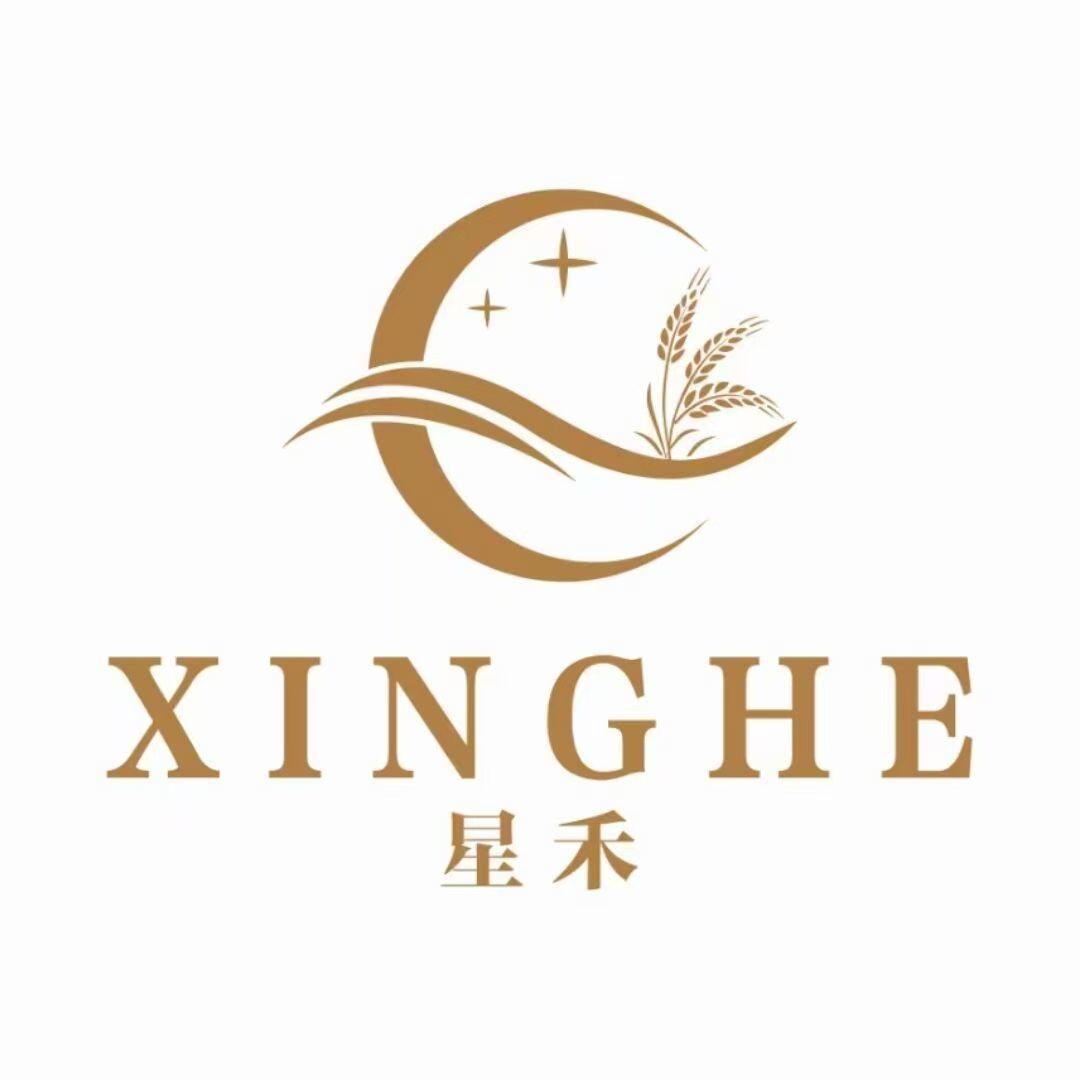 星禾国际货运代理