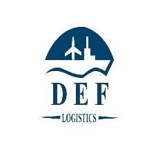 深圳市德福国际货运代理有限公司