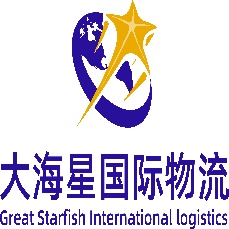 广东大海星国际物流有限公司
