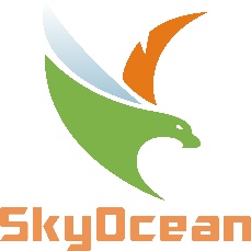 广东鸿海汇国际货运代理有限公司