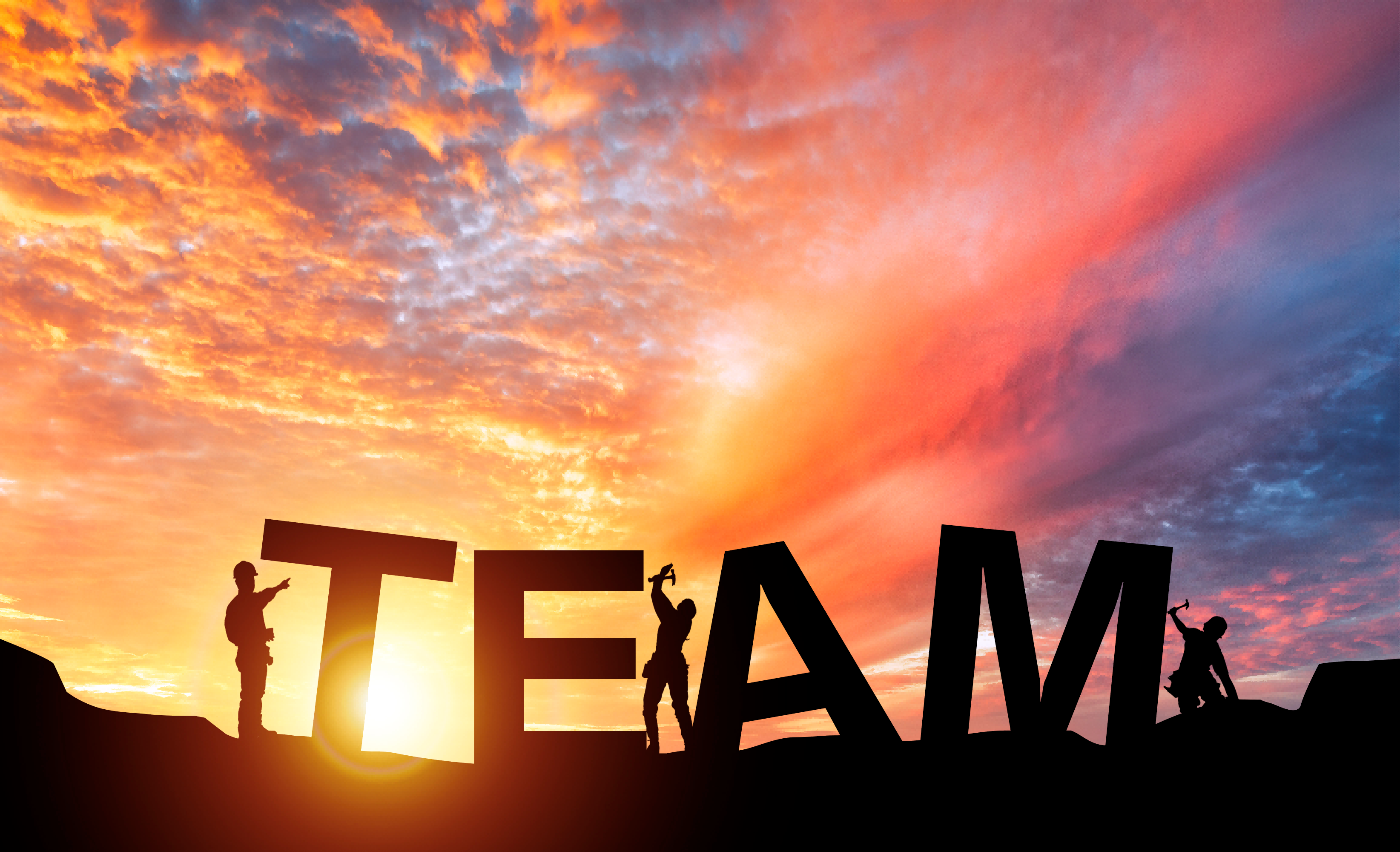 【平台规则】查看我的税务发票