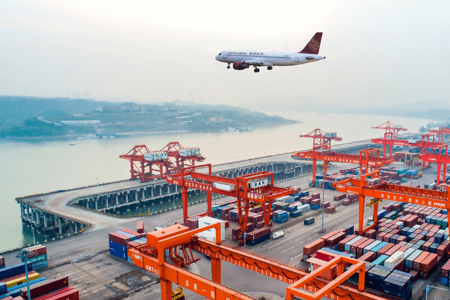 开工后务必自查！牛、马、鸡、花卉等图案遭严打，1033家店铺被封禁！