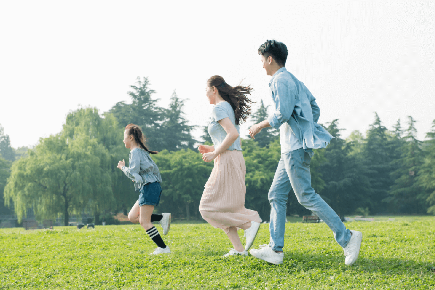 26-cv-02297，性感植物版权跨境维权，你的店铺是否有TRO冻结风险？