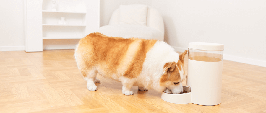 亚马逊A+页面惨遭强制折叠，转化率被腰斩的幕后黑手找到了