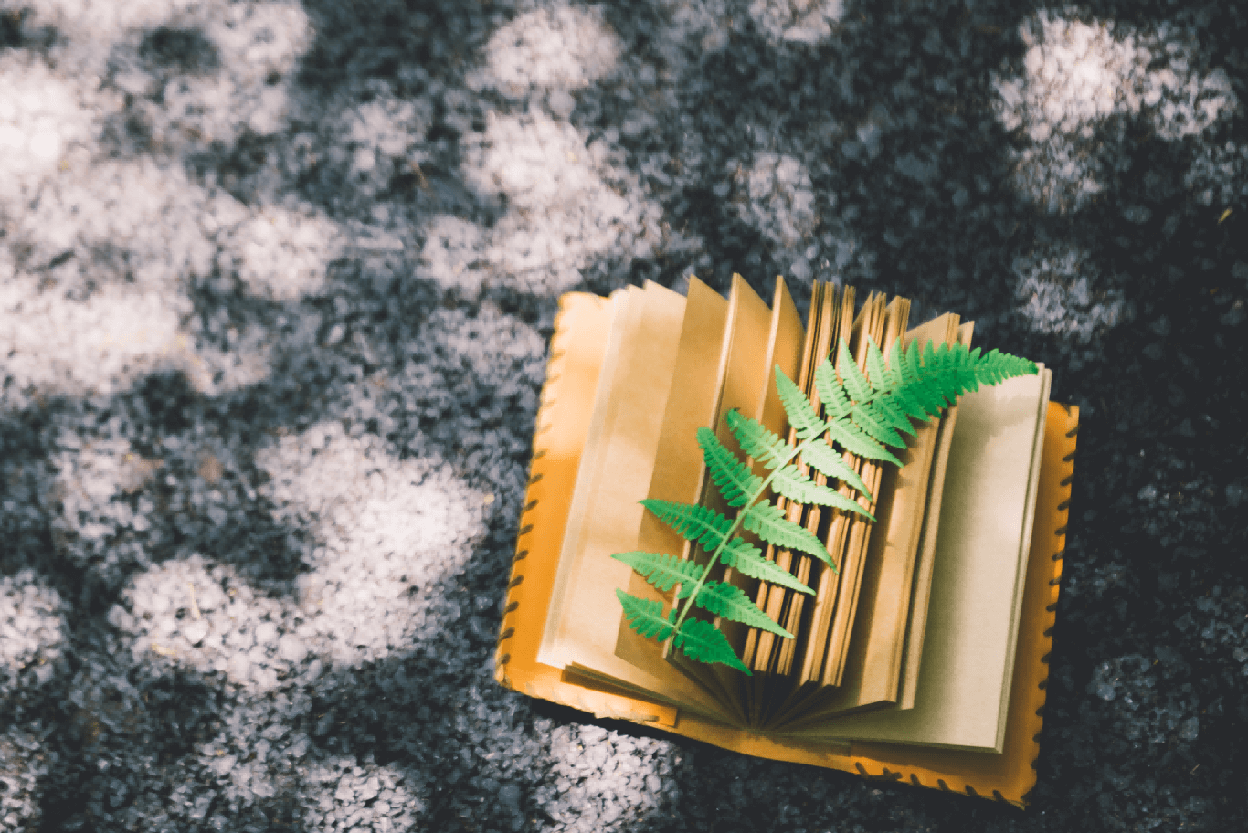 关税新规落地！这些卖家成本要涨！