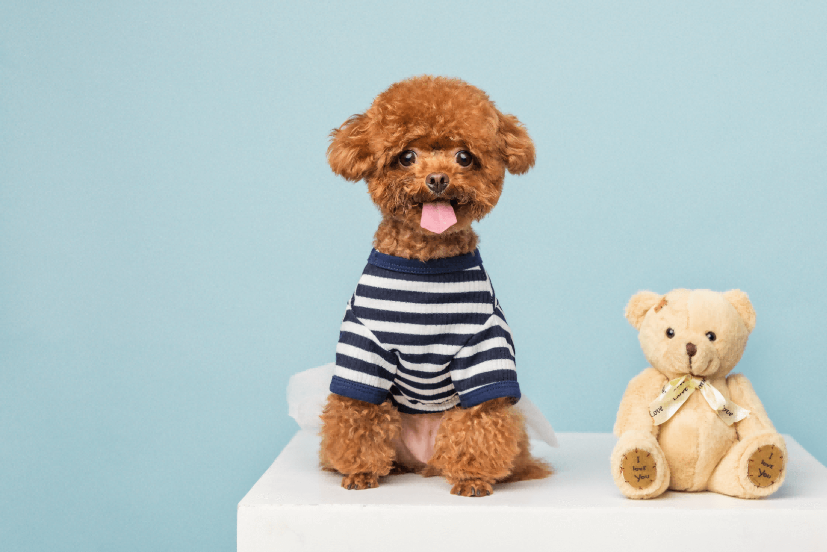 26-cv-00263，Sandra Hutter版权维权战再升级，近千店中招TRO！