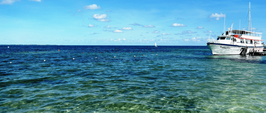 预售7个月但爆卖$5万：这款洗碗神器，凭什么让老外愿意等？