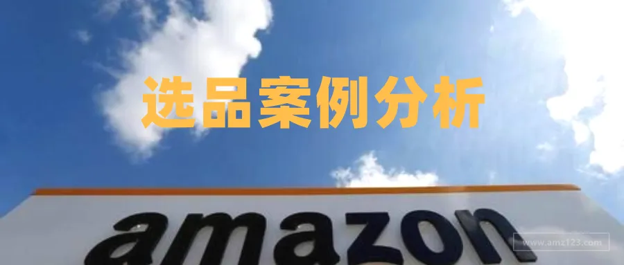 案例分析:这些产品究竟适不适合亚马逊卖家?